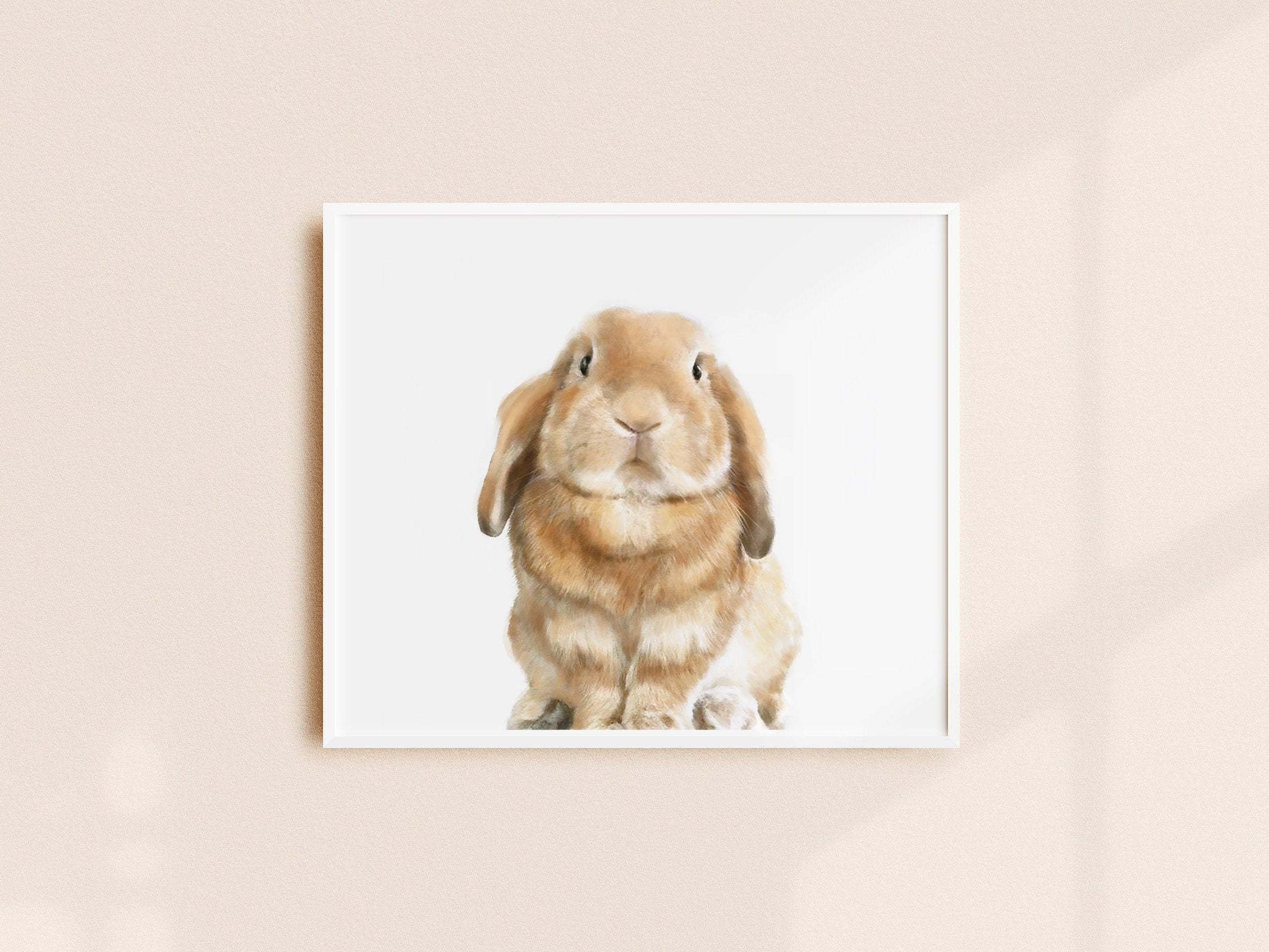 Lop Rabbit Art Print