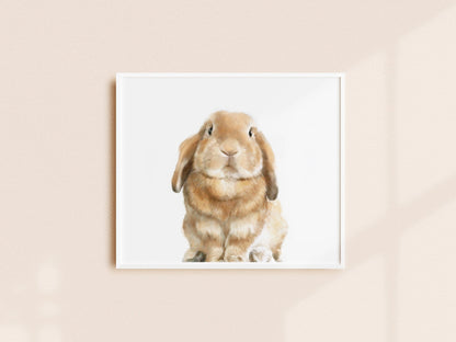 Lop Rabbit Art Print