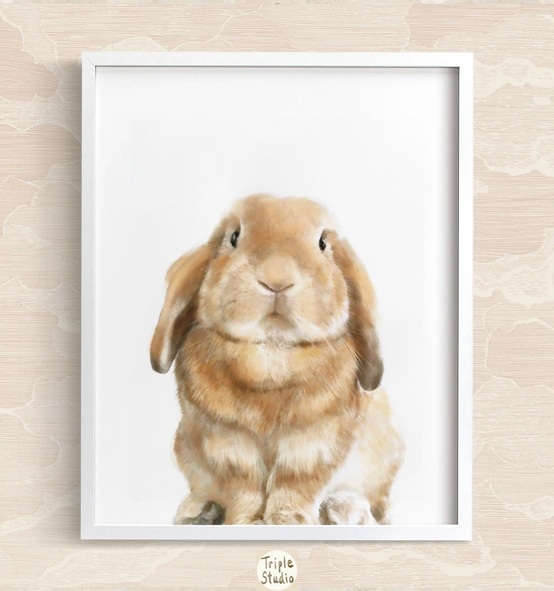 Lop Rabbit Art Print