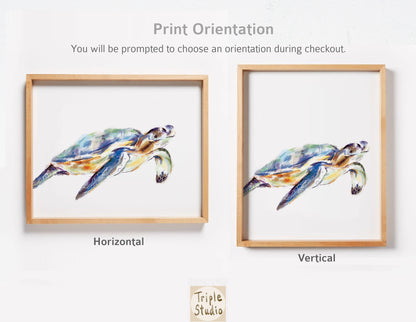 Turtle Art Print