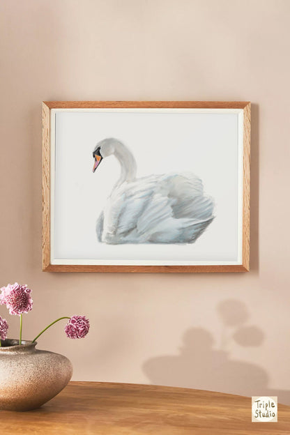 Swan Art Print