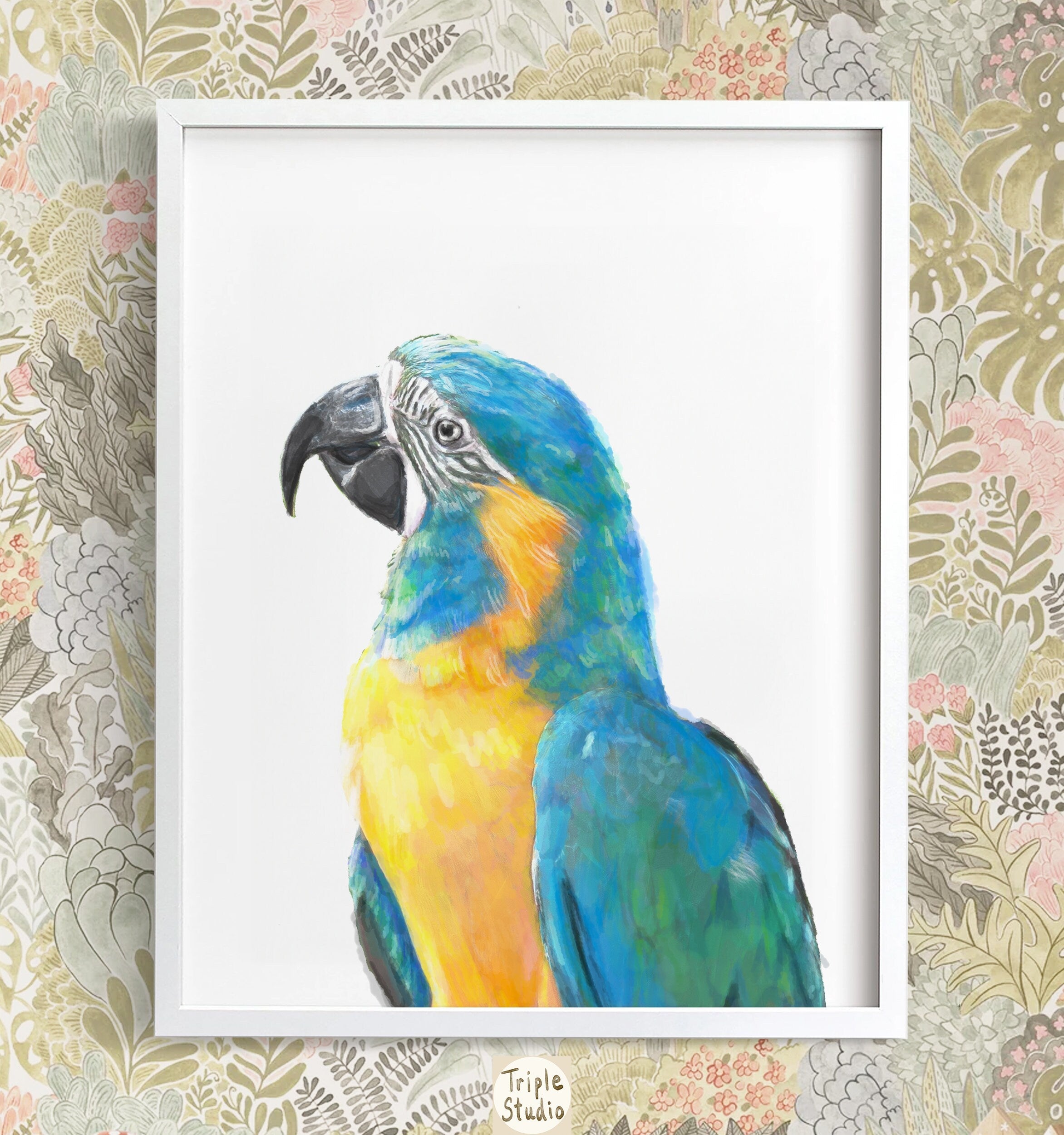Blue Throated Macaw Bird Art Print