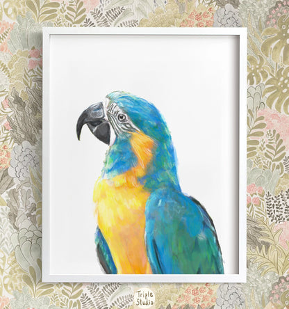 Blue Throated Macaw Bird Art Print