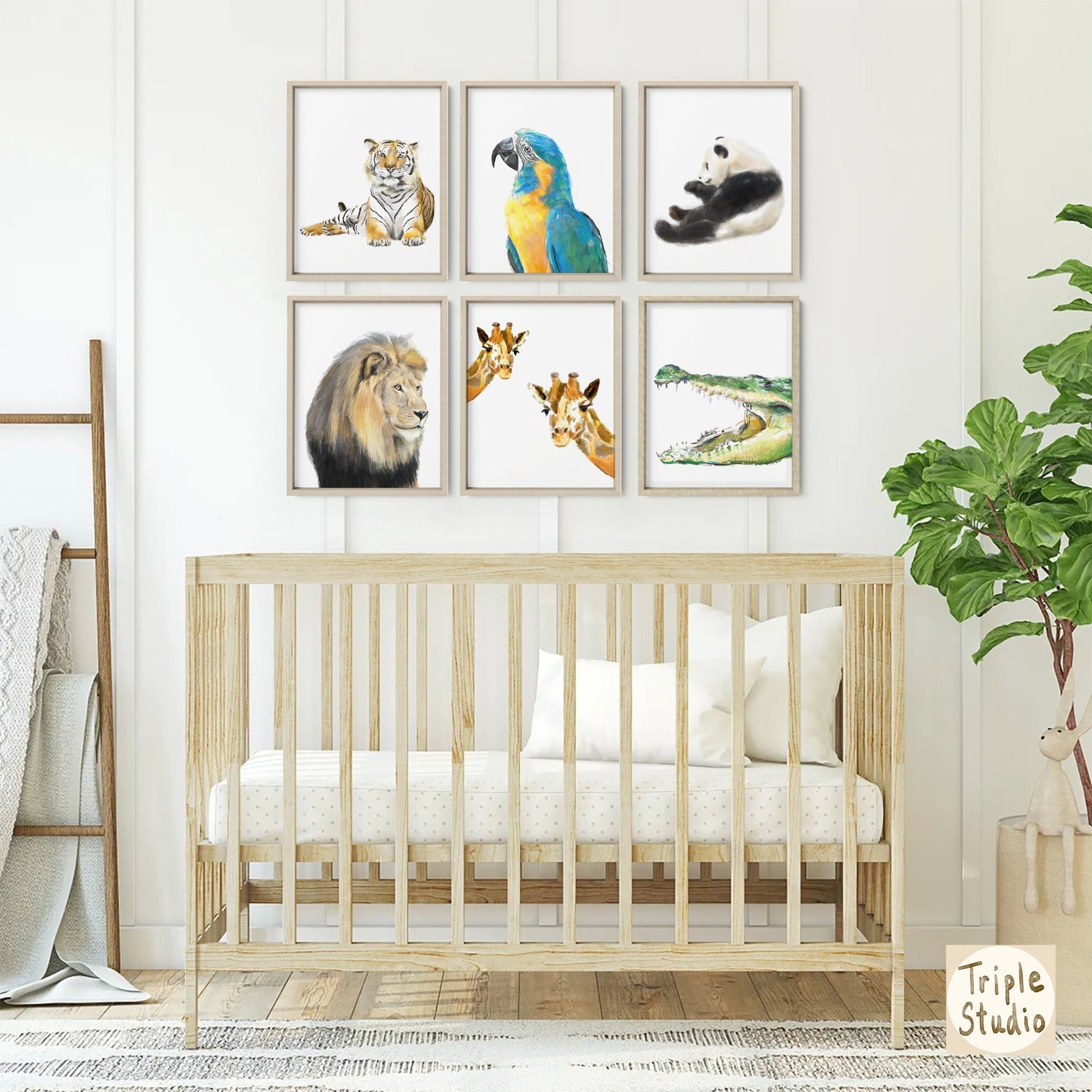 Blue Throated Macaw Bird Art Print