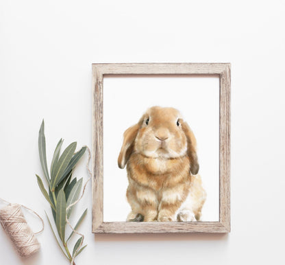 Lop Rabbit Art Print