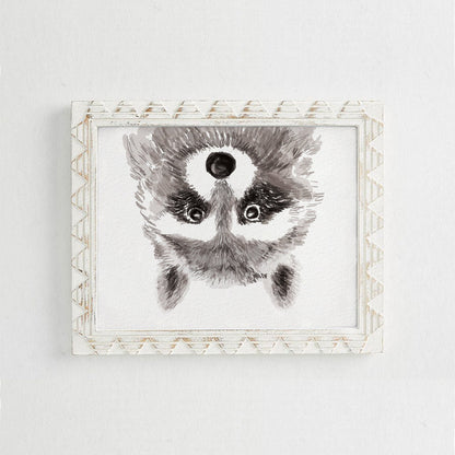 Raccoon Art Print
