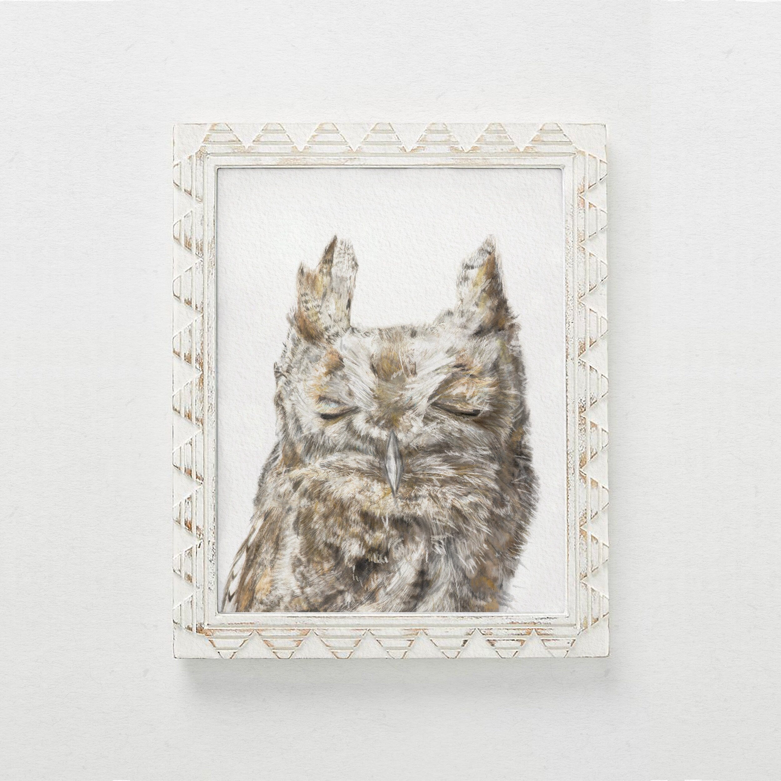 Burrowing Owl Art Print