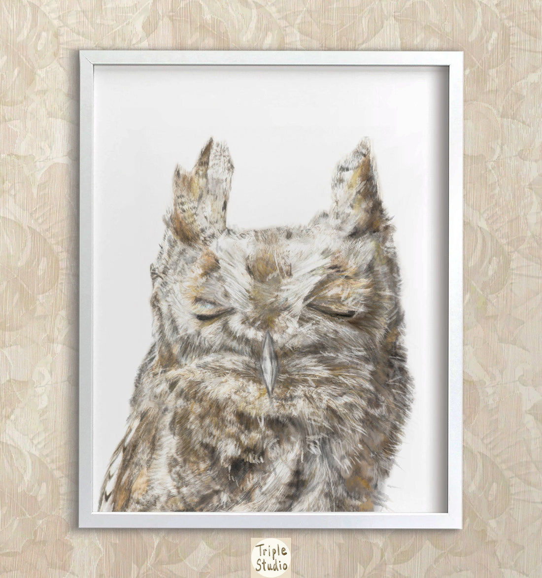 Burrowing Owl Art Print