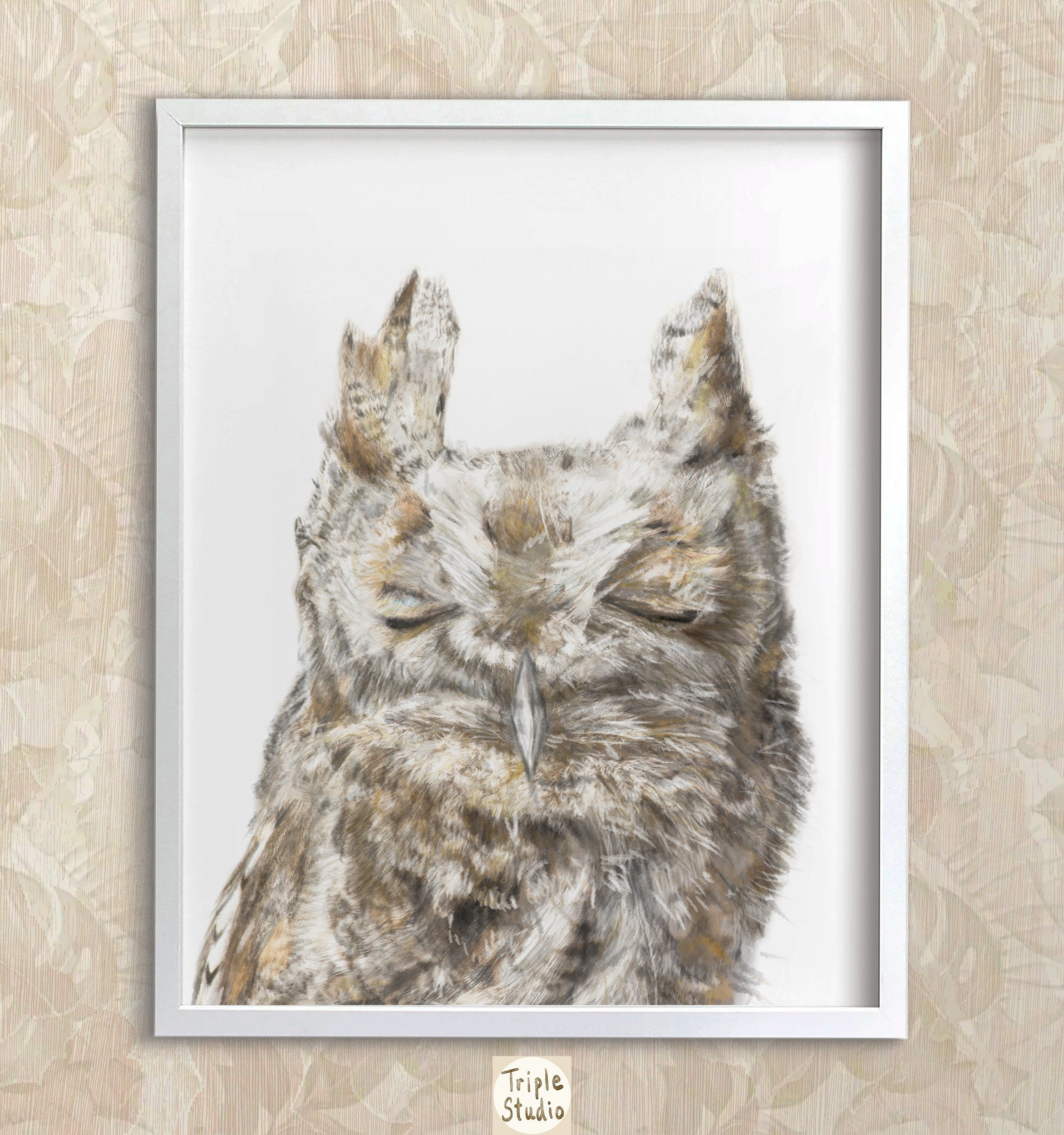 Burrowing Owl Art Print