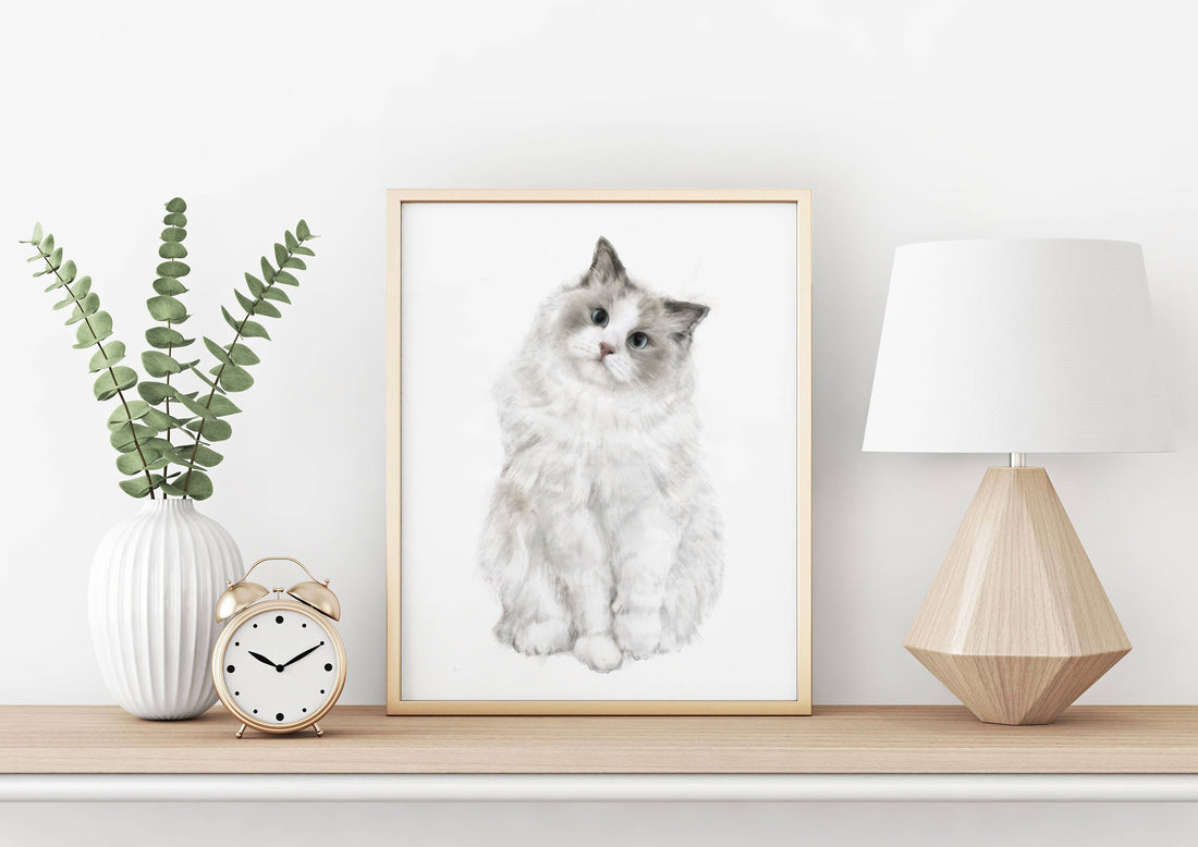 Ragdoll Cat Watercolor Painting, Fluffy Cat Modern Wall Art for Home Decor, Minimalistic Grey and White Cat Lover Gift, Signed by Artist