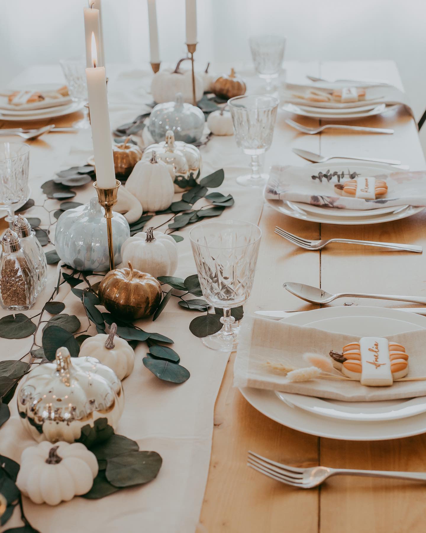 Preserved Silver Dollar Eucalyptus Bundle
