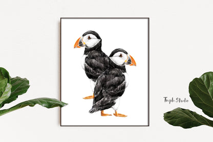 Puffin Watercolor Painting