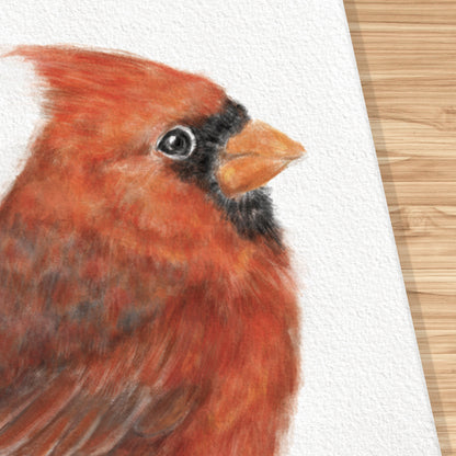 Red Cardinal Bird Art Print