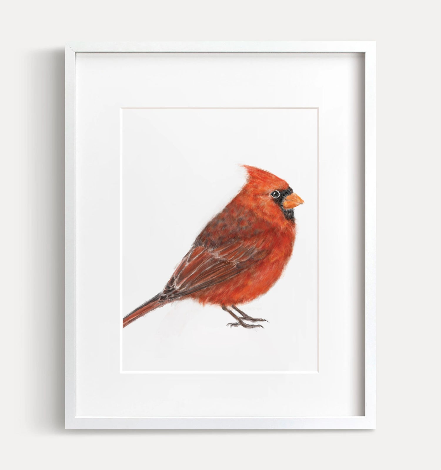 Red Cardinal Bird Art Print