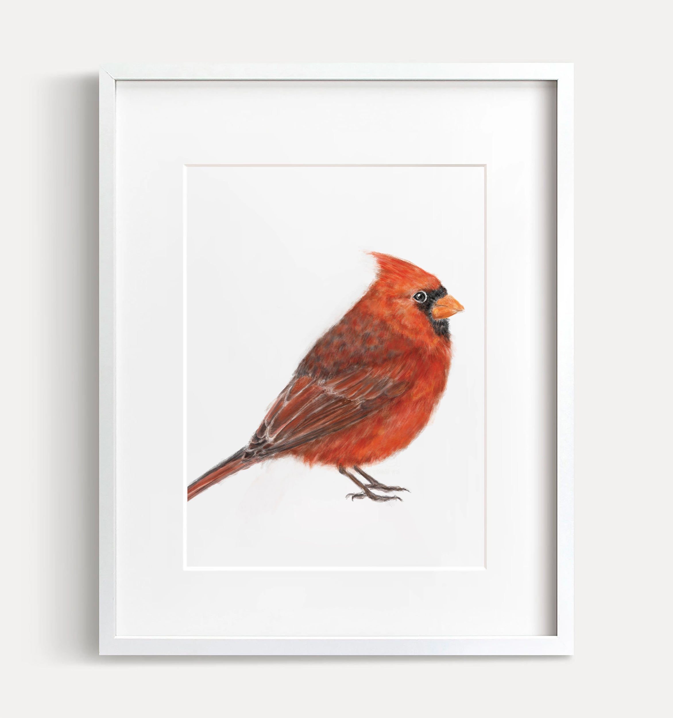 Red Cardinal Bird Art Print