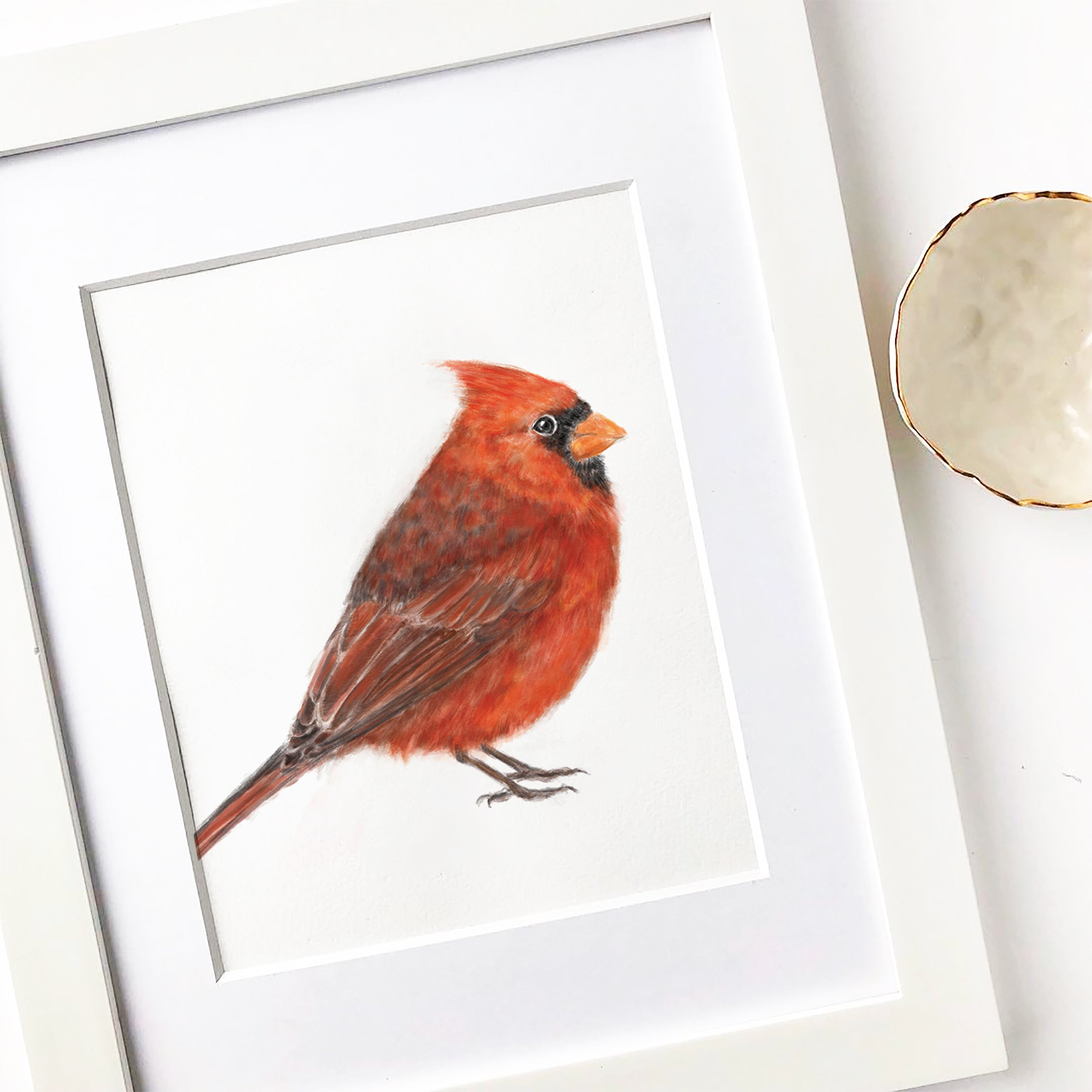 Red Cardinal Bird Art Print