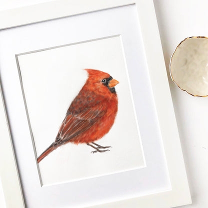 Red Cardinal Bird Art Print