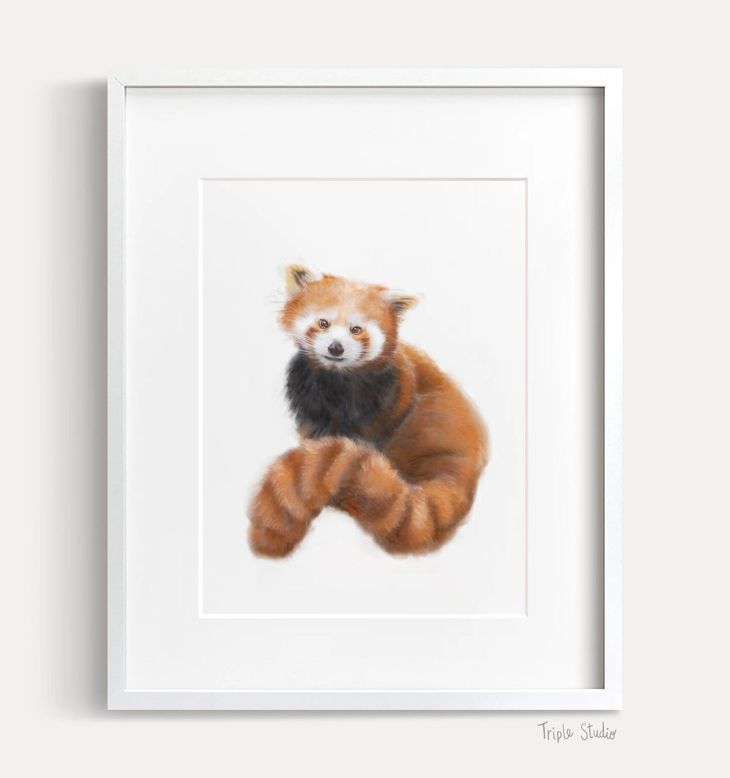 Red Panda Art Print