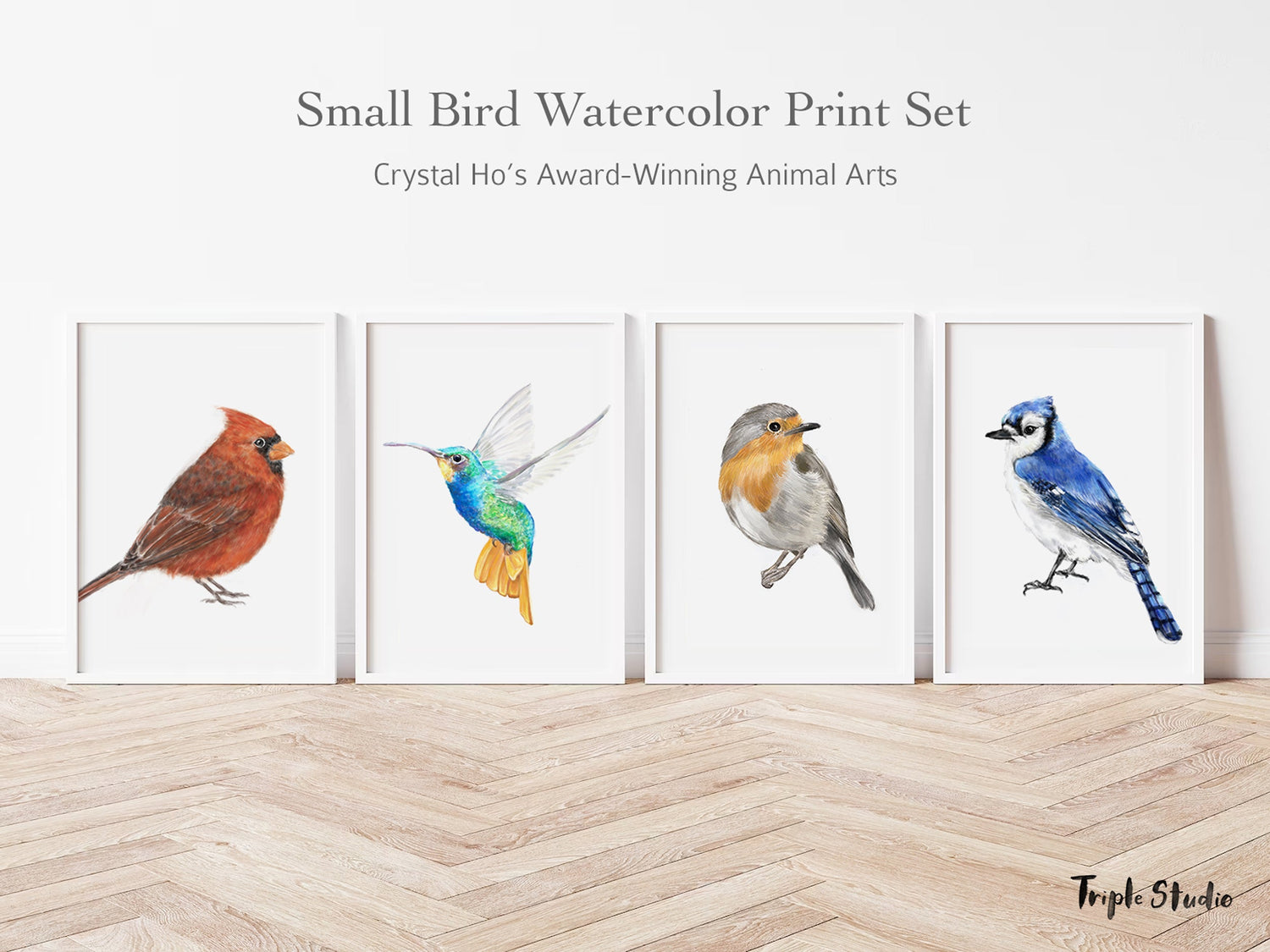 Hummingbird Art Print