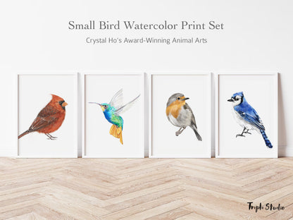 Hummingbird Art Print