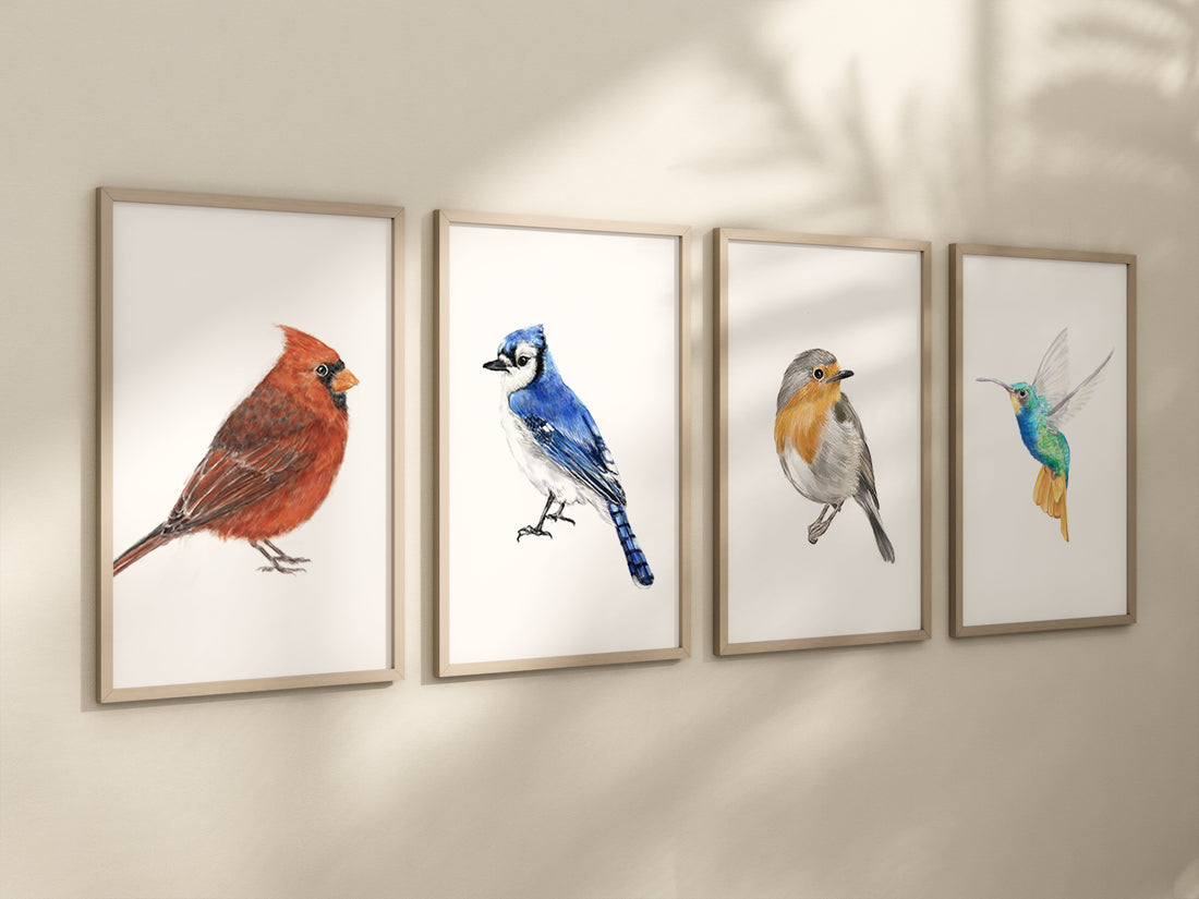 Blue Jay Bird Art Print